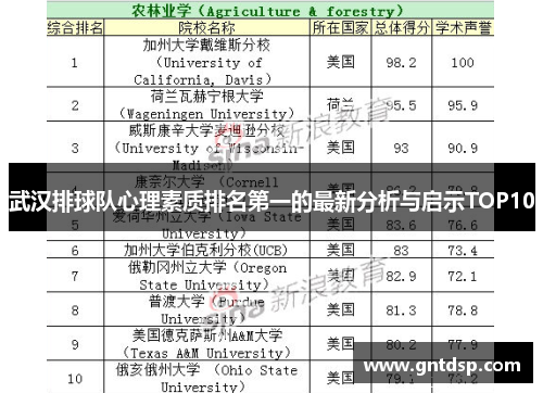 武汉排球队心理素质排名第一的最新分析与启示TOP10