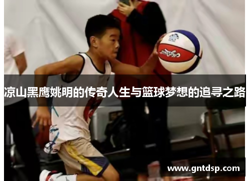 凉山黑鹰姚明的传奇人生与篮球梦想的追寻之路