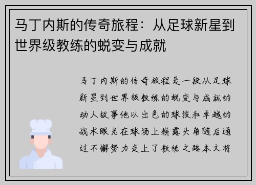 马丁内斯的传奇旅程：从足球新星到世界级教练的蜕变与成就